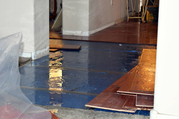 Professional Basement Water Removal technician working in Fenton, MI