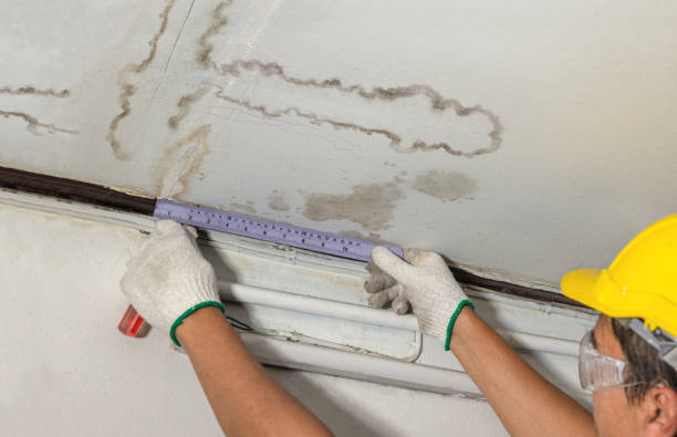 Reliable Basement Water Removal contractor in Fenton, MI by Water Damage Irwin